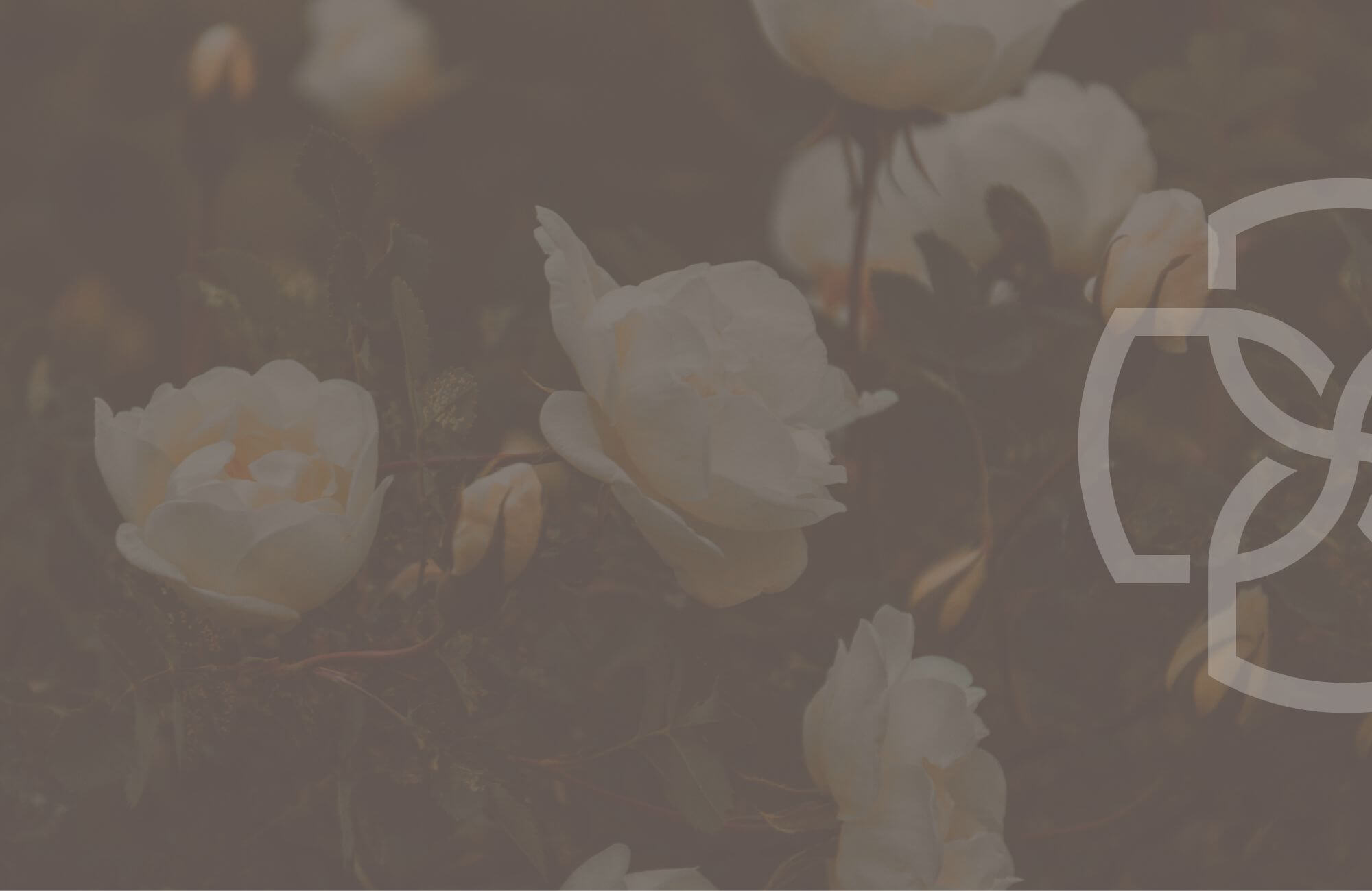 Fleurs représentant l'expérience positive des traitements BTL